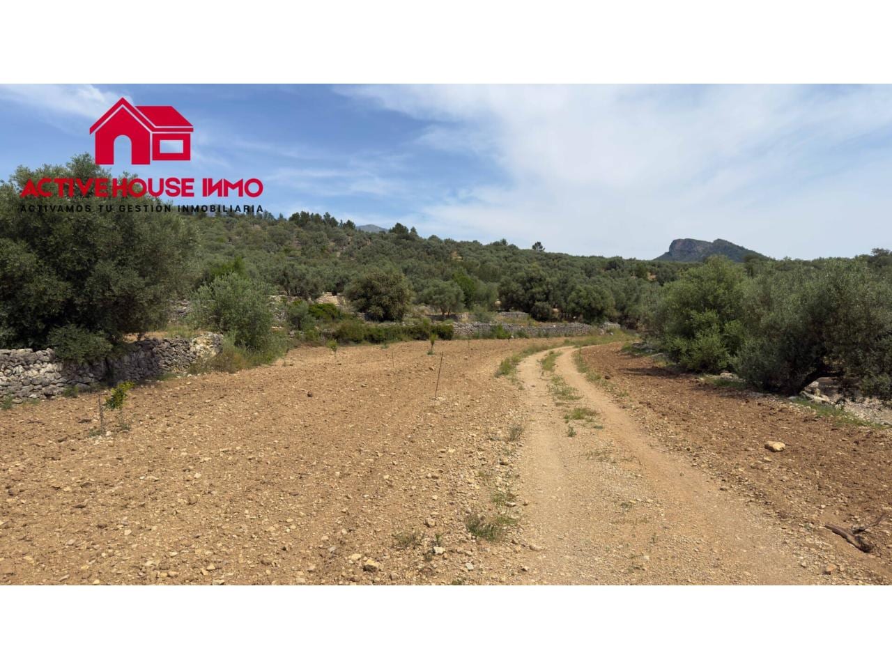 Finca rustica de 6 Jornales en venta en Mas de Barberans - Foto 21