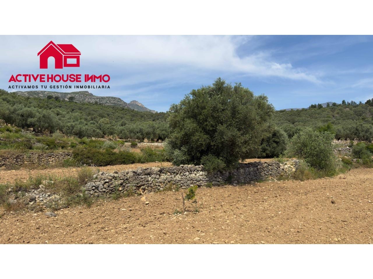 Finca rustica de 6 Jornales en venta en Mas de Barberans - Foto 22