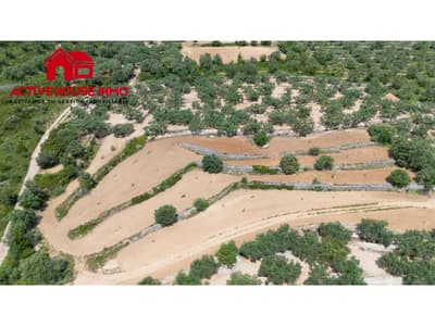 Finca rustica  de 6 Jornales en venta en Mas de Barberans