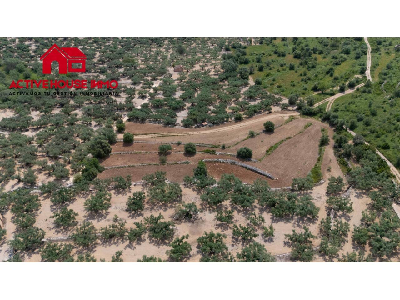 Finca rustica de 6 Jornales en venta en Mas de Barberans - Foto 3