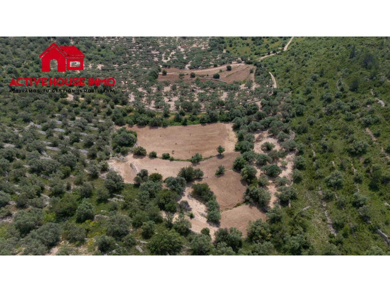 Finca rustica de 6 Jornales en venta en Mas de Barberans - Foto 4