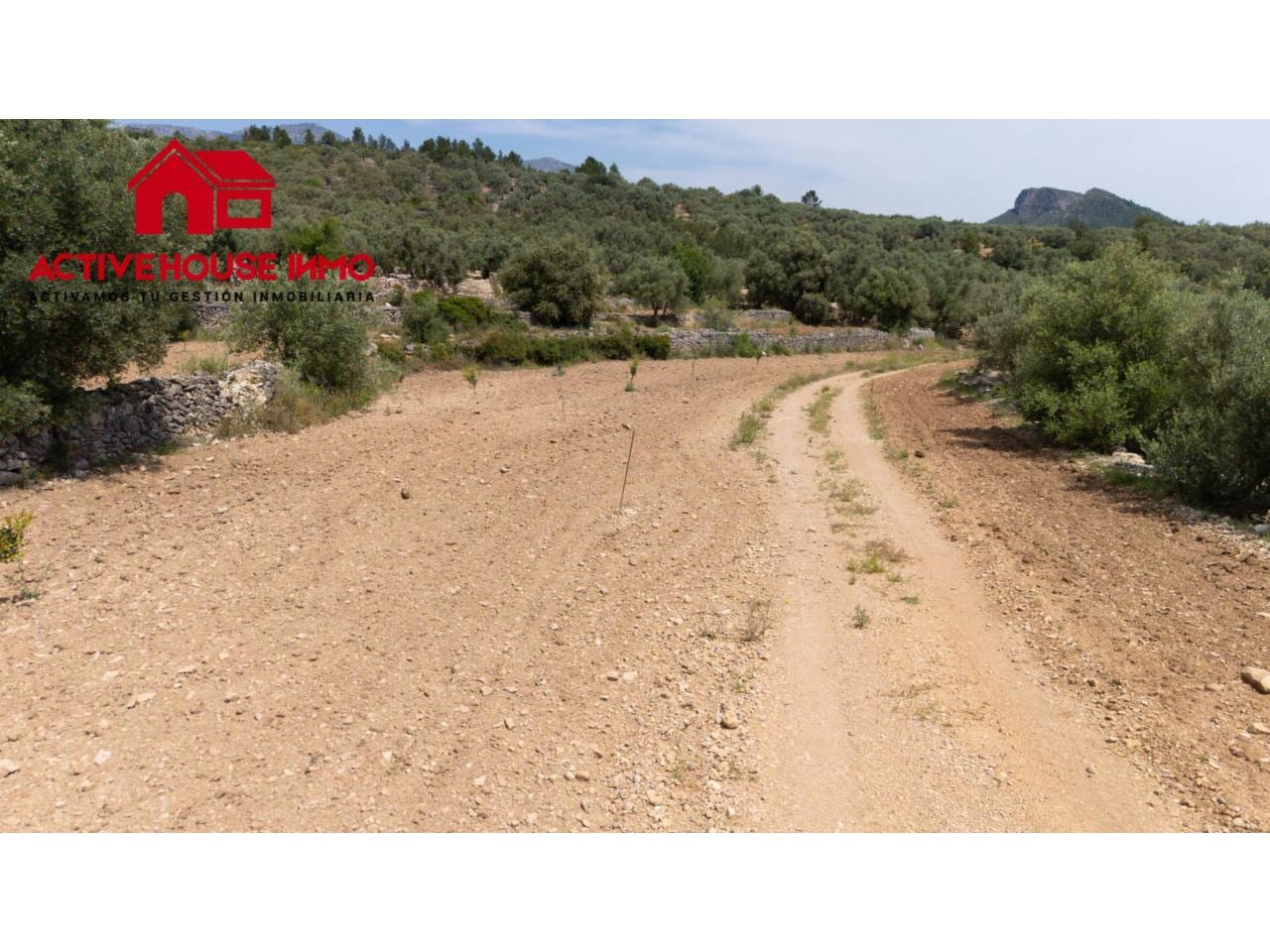 Finca rustica de 6 Jornales en venta en Mas de Barberans - Foto 6
