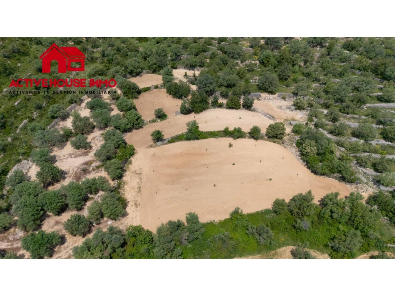 Finca rustica de 6 Jornales en venta en Mas de Barberans - Foto 7