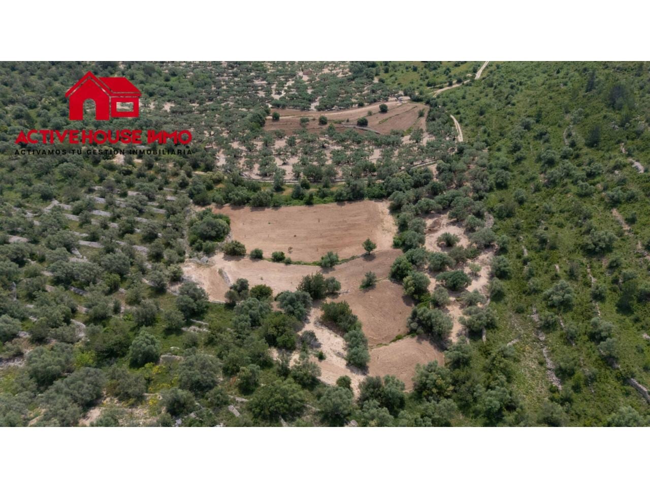 Finca rustica de 6 Jornales en venta en Mas de Barberans - Foto 9
