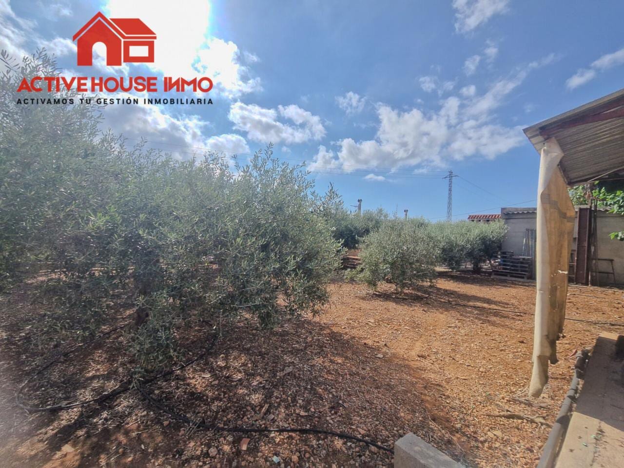 Venta de finca rústica en Alcanar playa - Foto 22