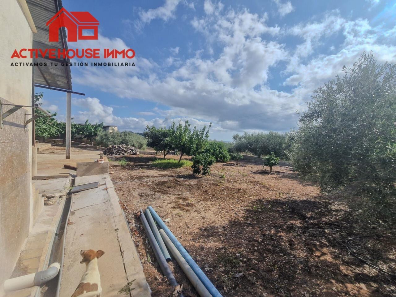 Venta de finca rústica en Alcanar playa - Foto 28
