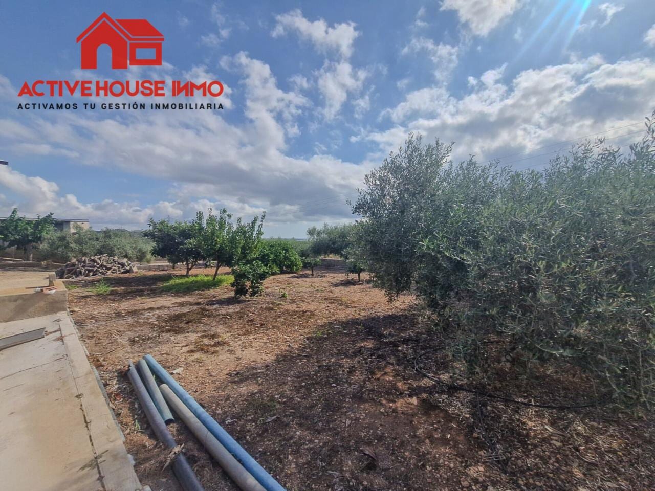 Venta de finca rústica en Alcanar playa - Foto 29