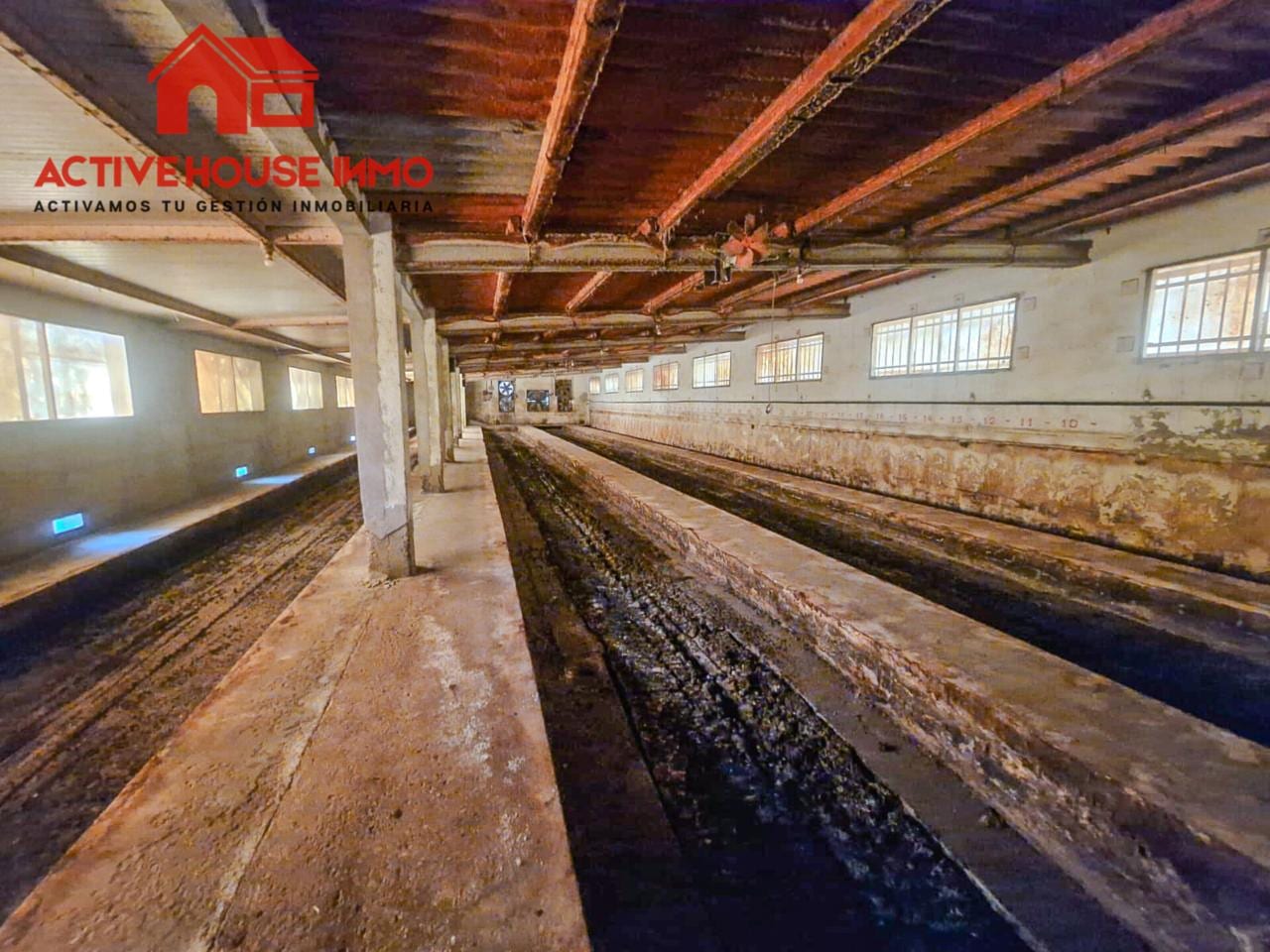 Venta de finca rústica en Alcanar playa - Foto 35