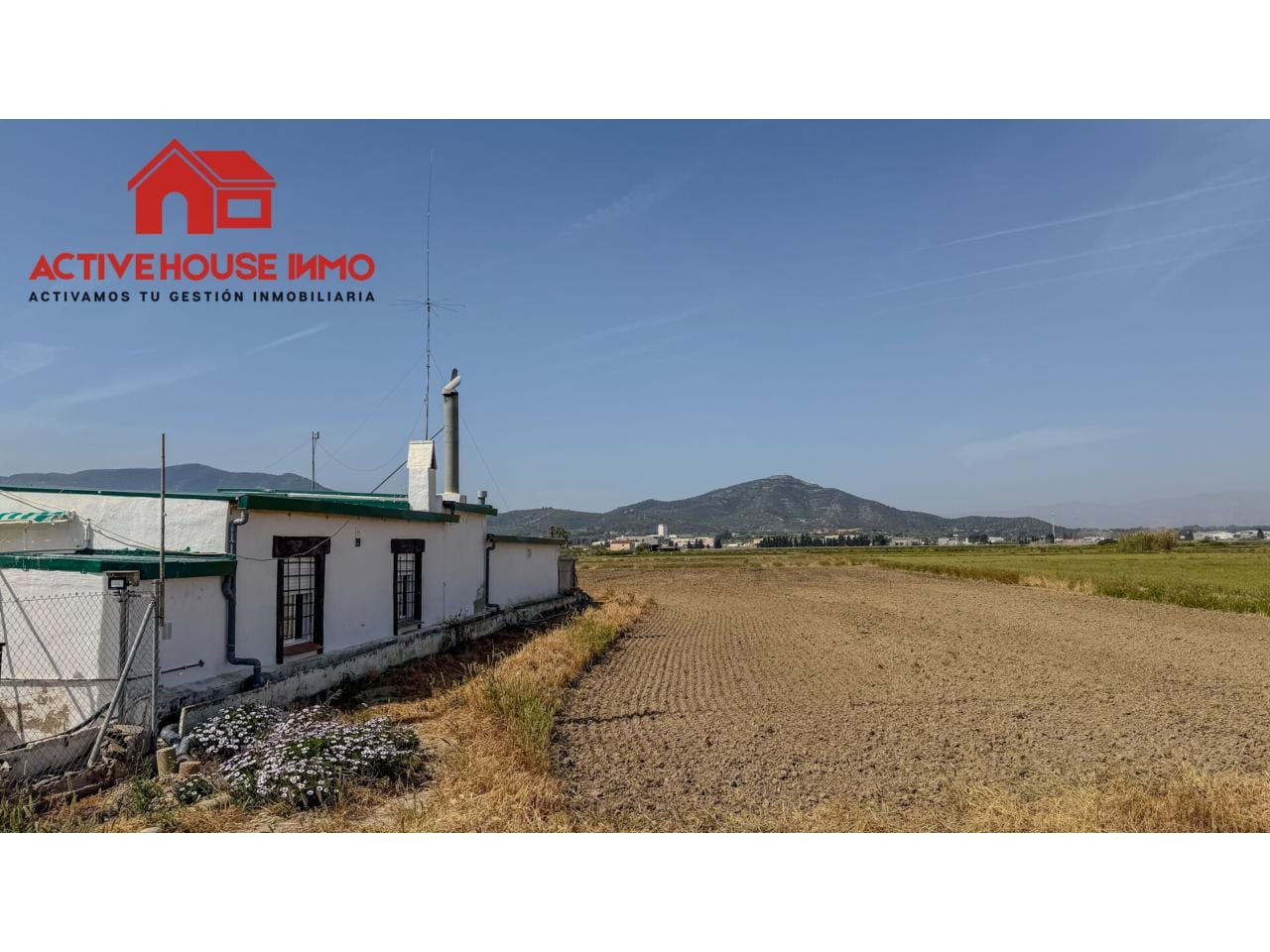 Venta de finca rústica en Amposta, Poble Nou del Delta-Eucaliptus - Foto 10