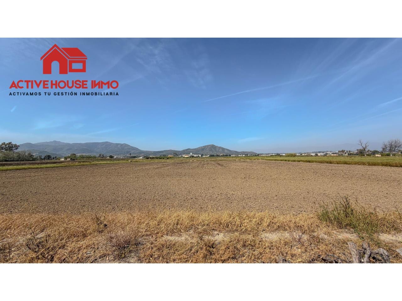 Venta de finca rústica en Amposta, Poble Nou del Delta-Eucaliptus - Foto 12