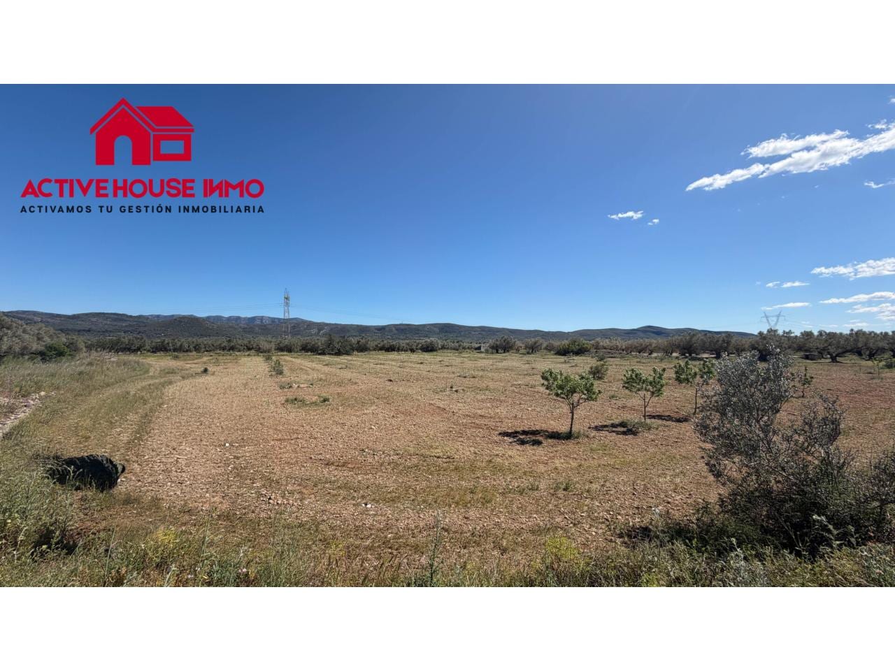 Venta de finca rústica cultivable en Godall - Foto 1
