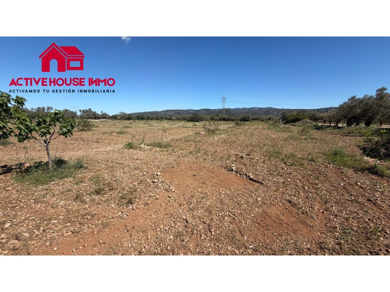 Venta de finca rústica cultivable en Godall - Foto 2