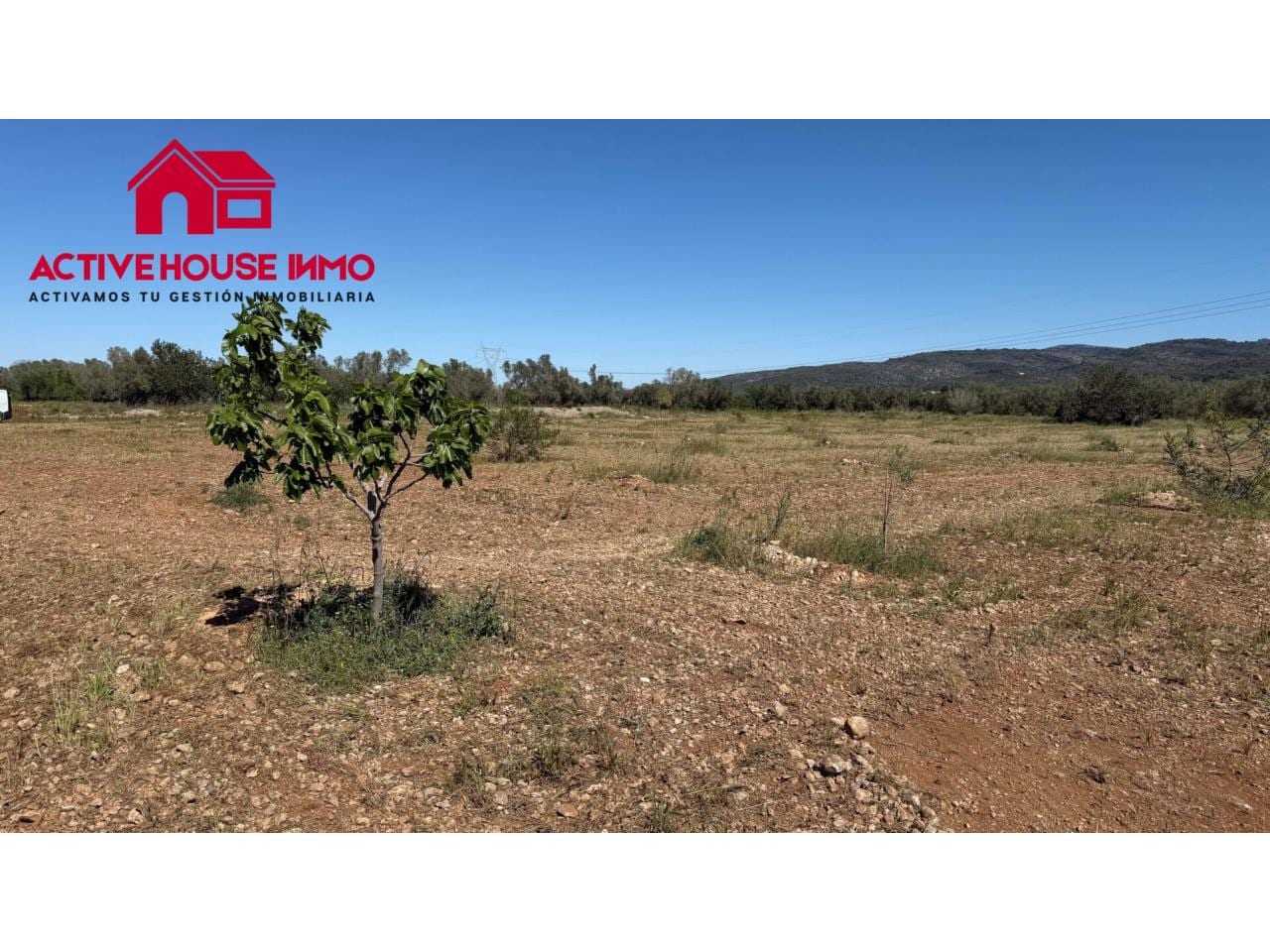 Venta de finca rústica cultivable en Godall - Foto 4