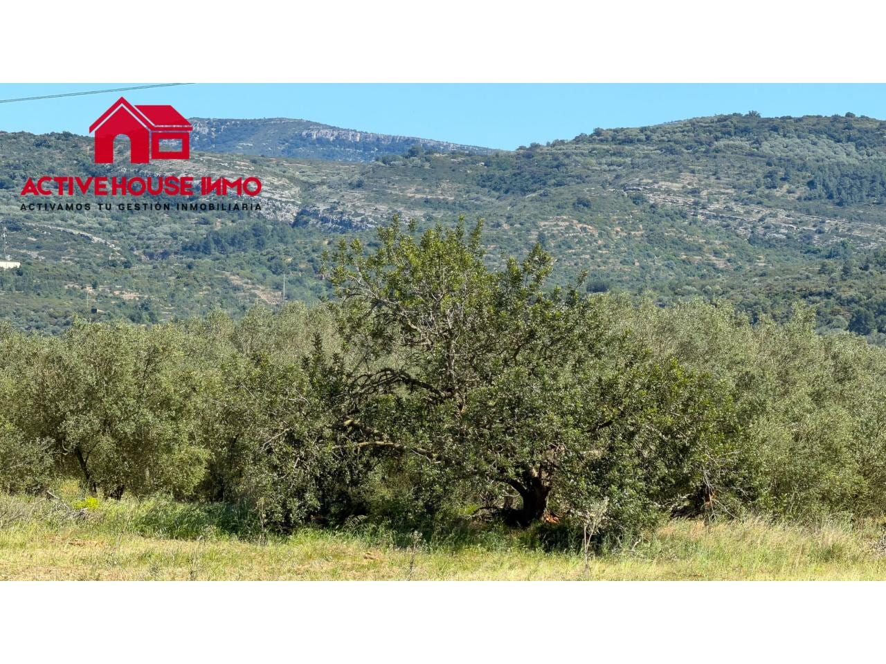 Venta de finca rústica cultivable en Godall - Foto 6