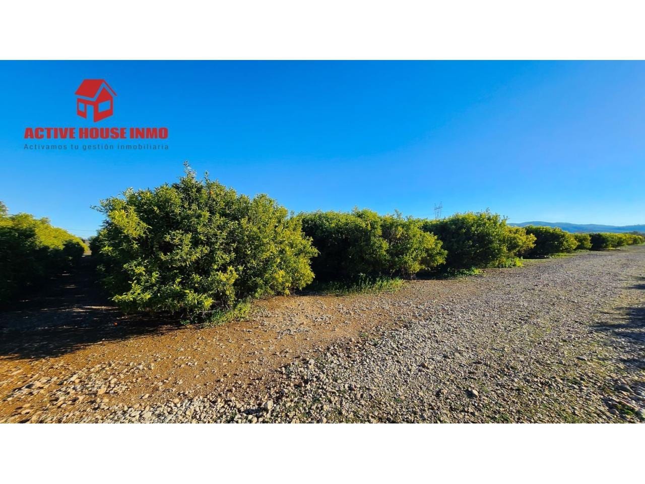 Terreno en venta en Santa Bàrbara - Foto 11