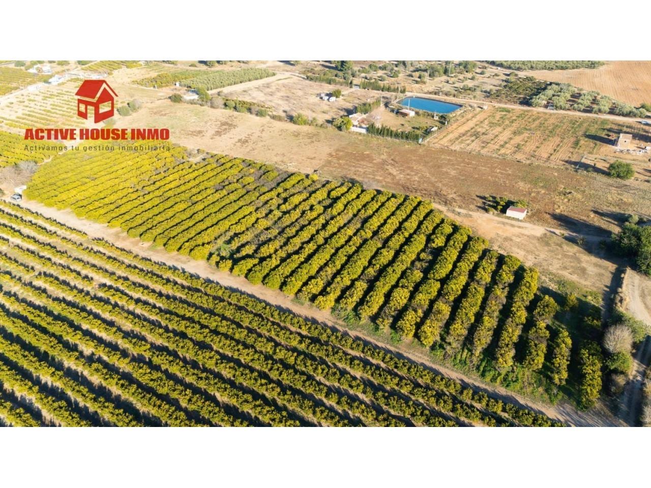 Terreno en venta en Santa Bàrbara - Foto 12