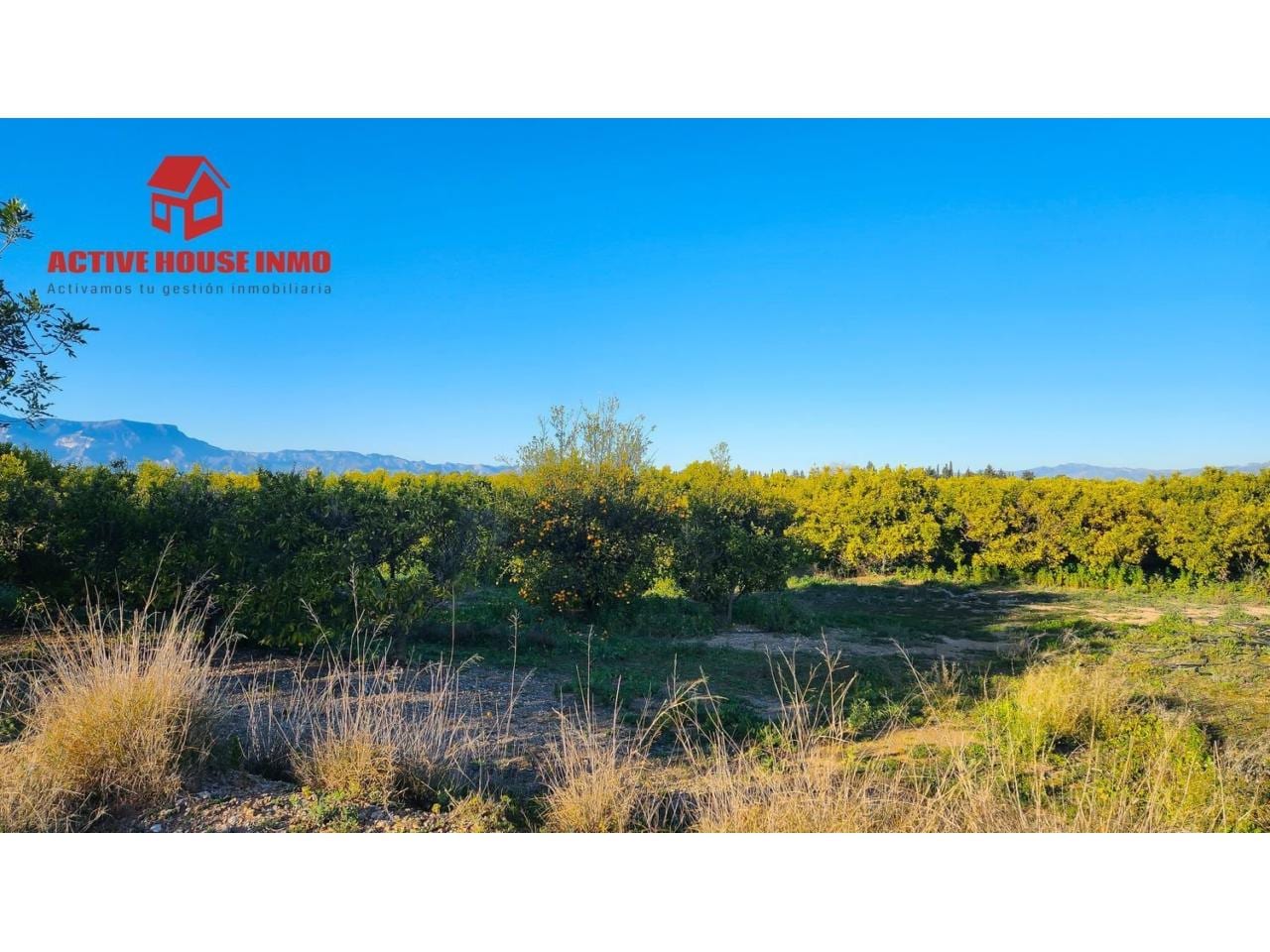 Terreno en venta en Santa Bàrbara - Foto 15