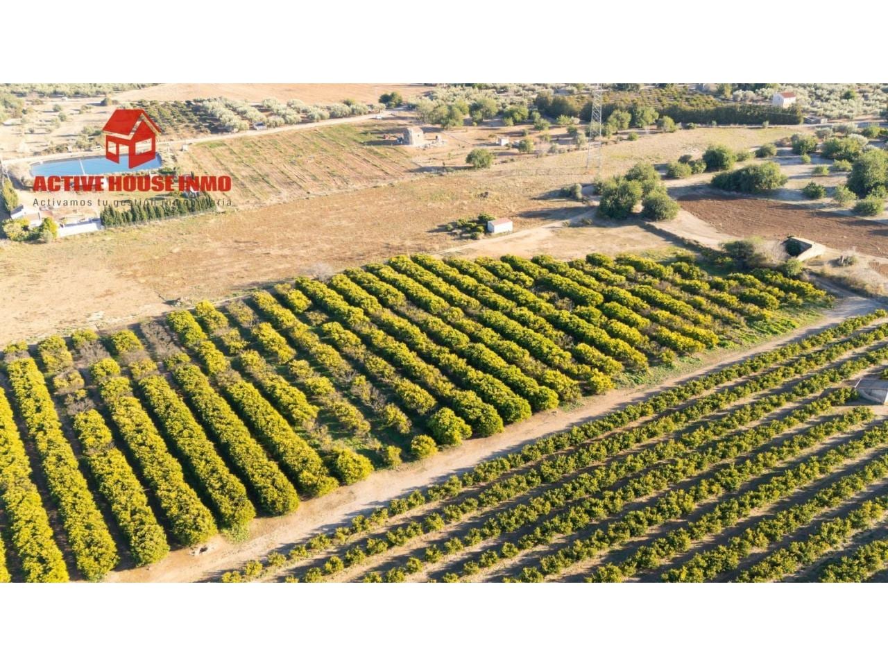 Terreno en venta en Santa Bàrbara - Foto 17