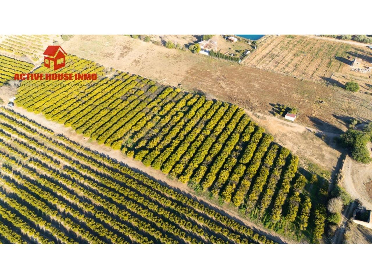 Terreno en venta en Santa Bàrbara - Foto 3
