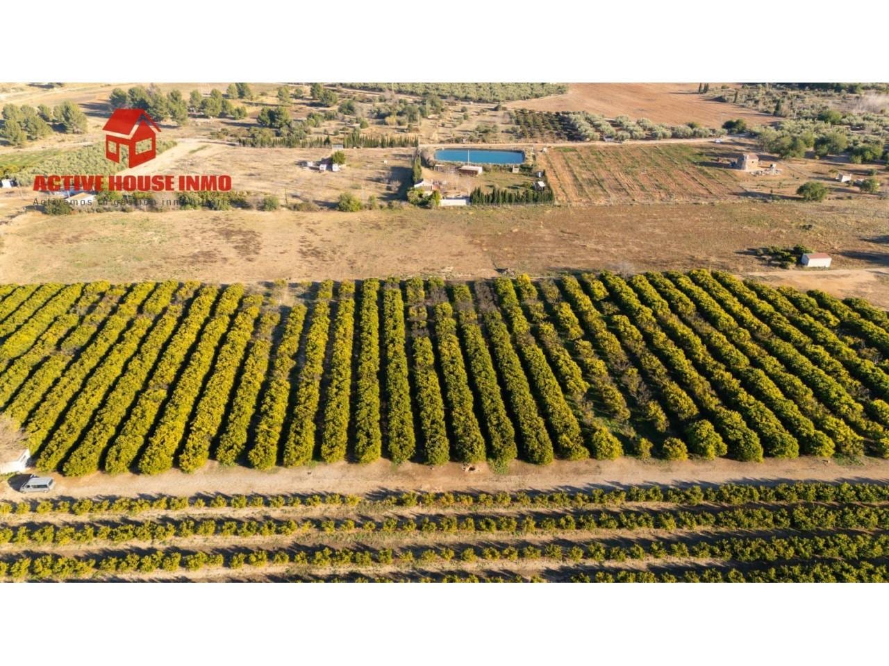Terreno en venta en Santa Bàrbara - Foto 4