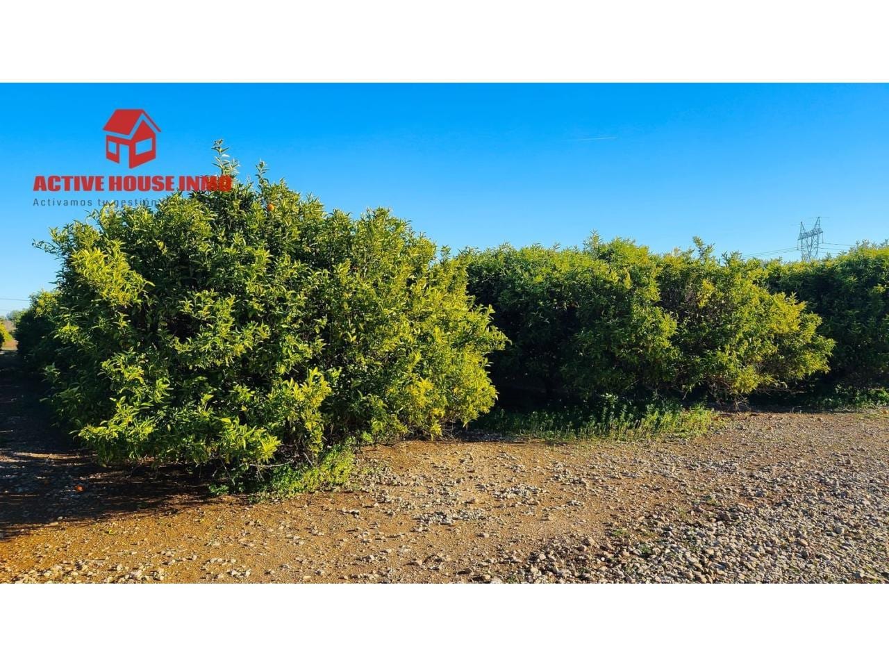 Terreno en venta en Santa Bàrbara - Foto 9