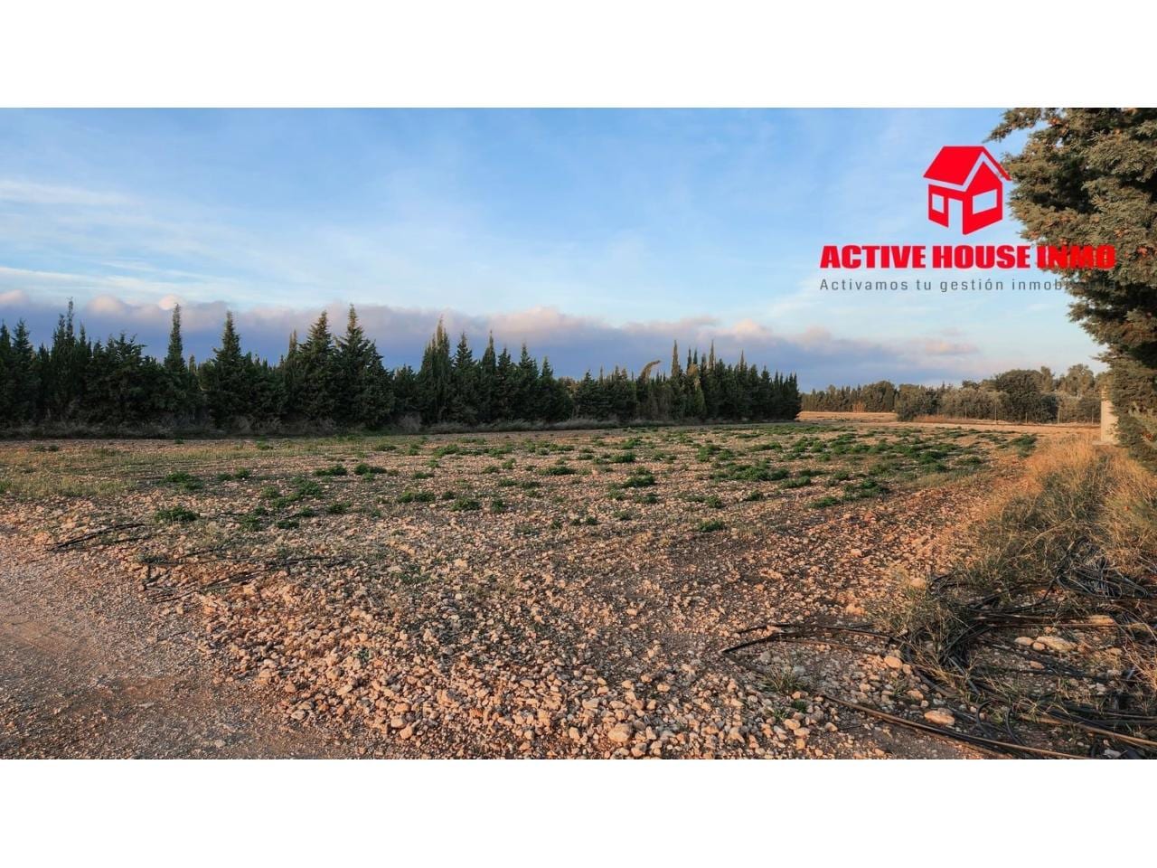 Terreno en venta en Camarles - Foto 39