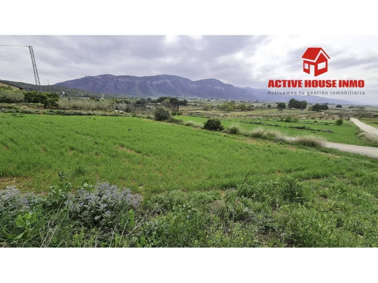 Terreno en venta en Freginals - Foto 3