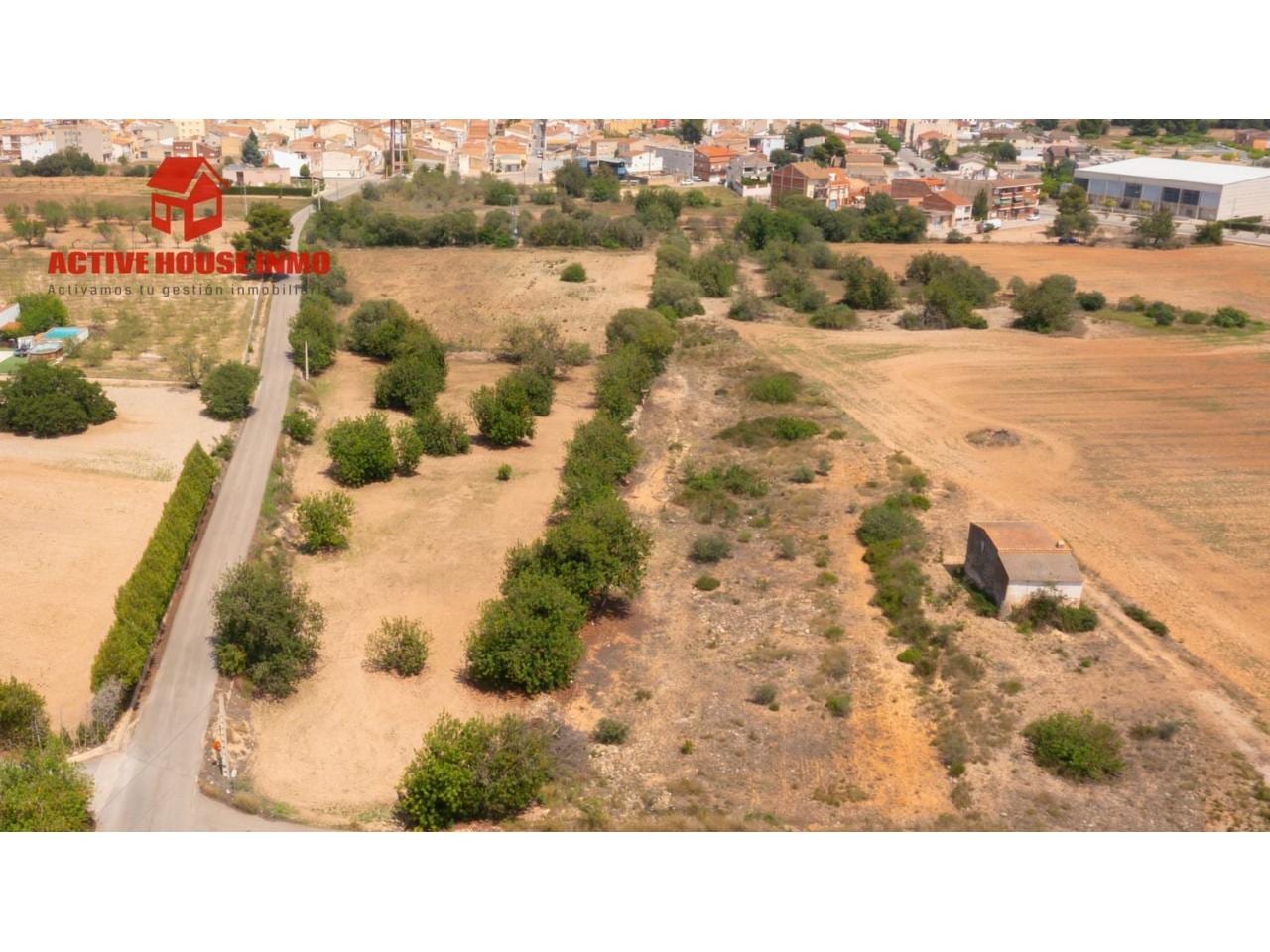 Rústica de algarrobos en Santa Bàrbara - Foto 12