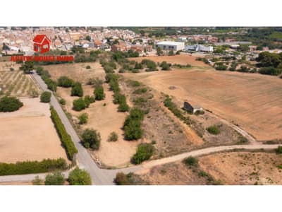 Rústica de algarrobos en Santa Bàrbara