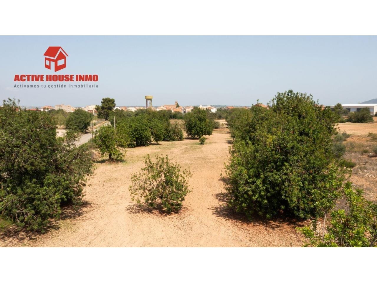 Rústica de algarrobos en Santa Bàrbara - Foto 4