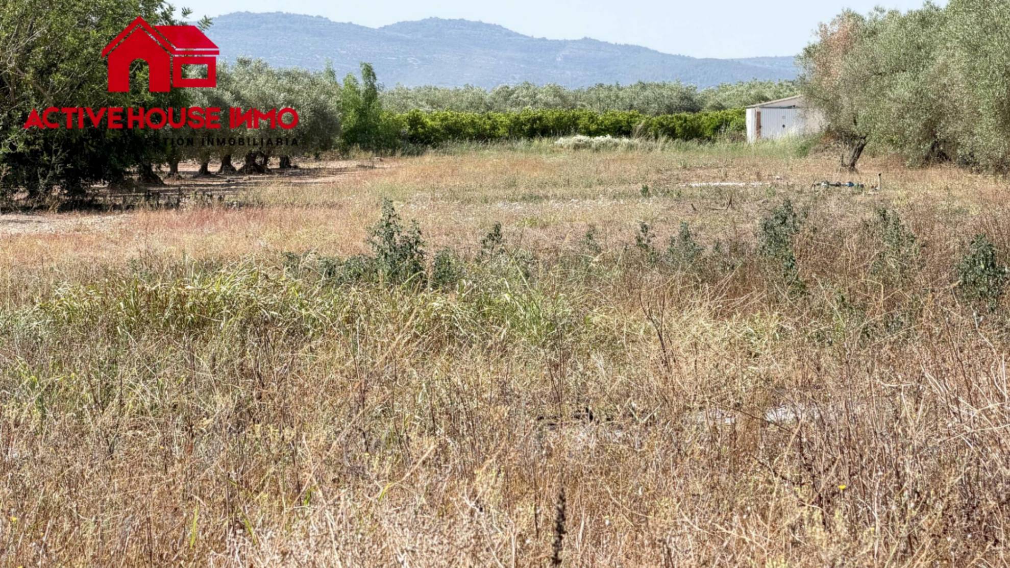 Finca con agua en Santa Bàrbara - Foto 2