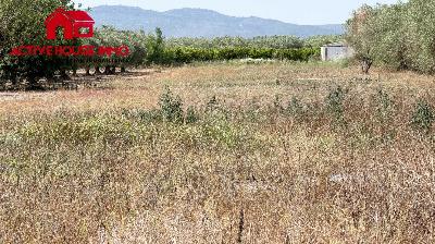 Finca con agua en Santa Bàrbara