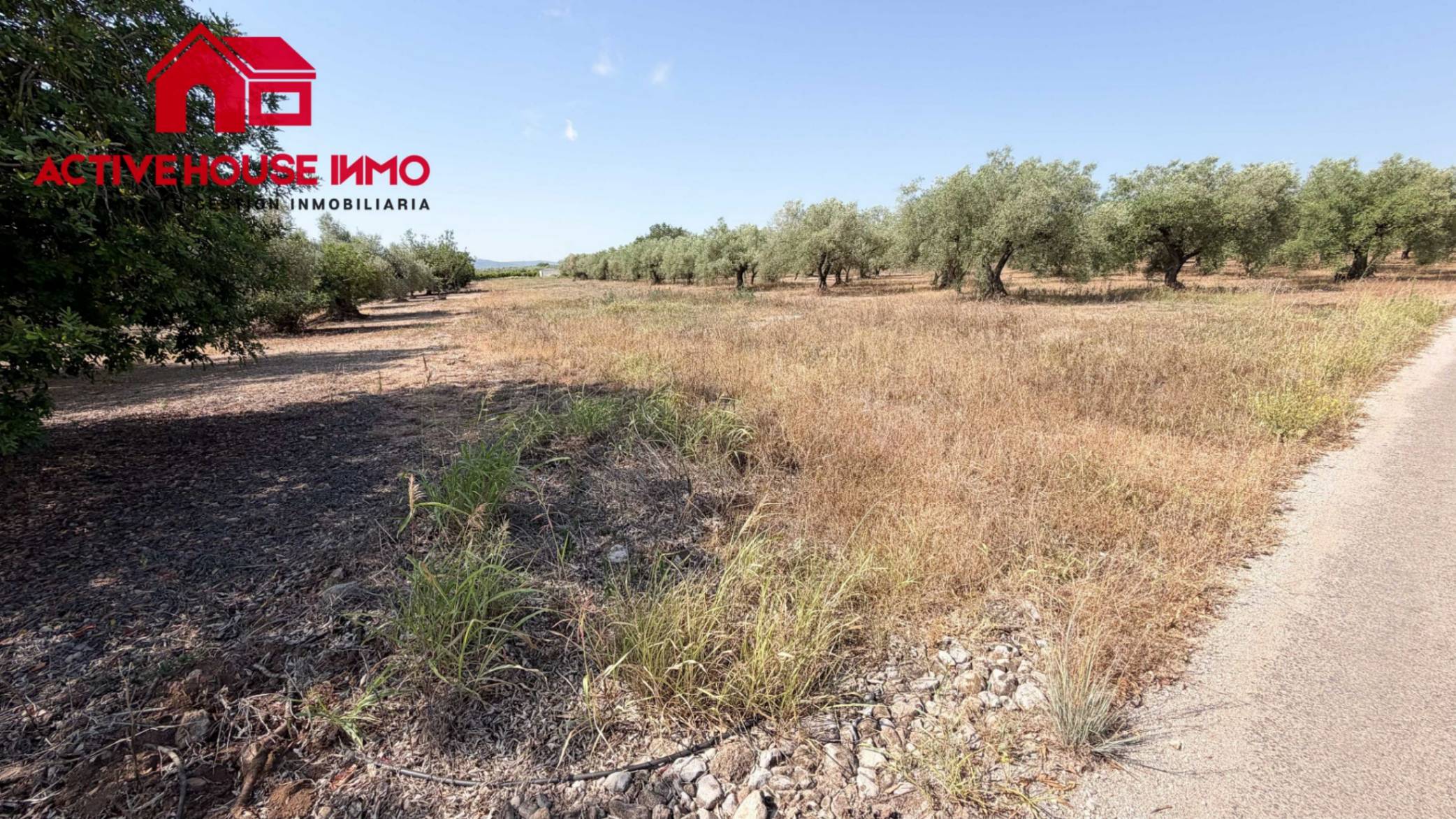 Finca con agua en Santa Bàrbara - Foto 4