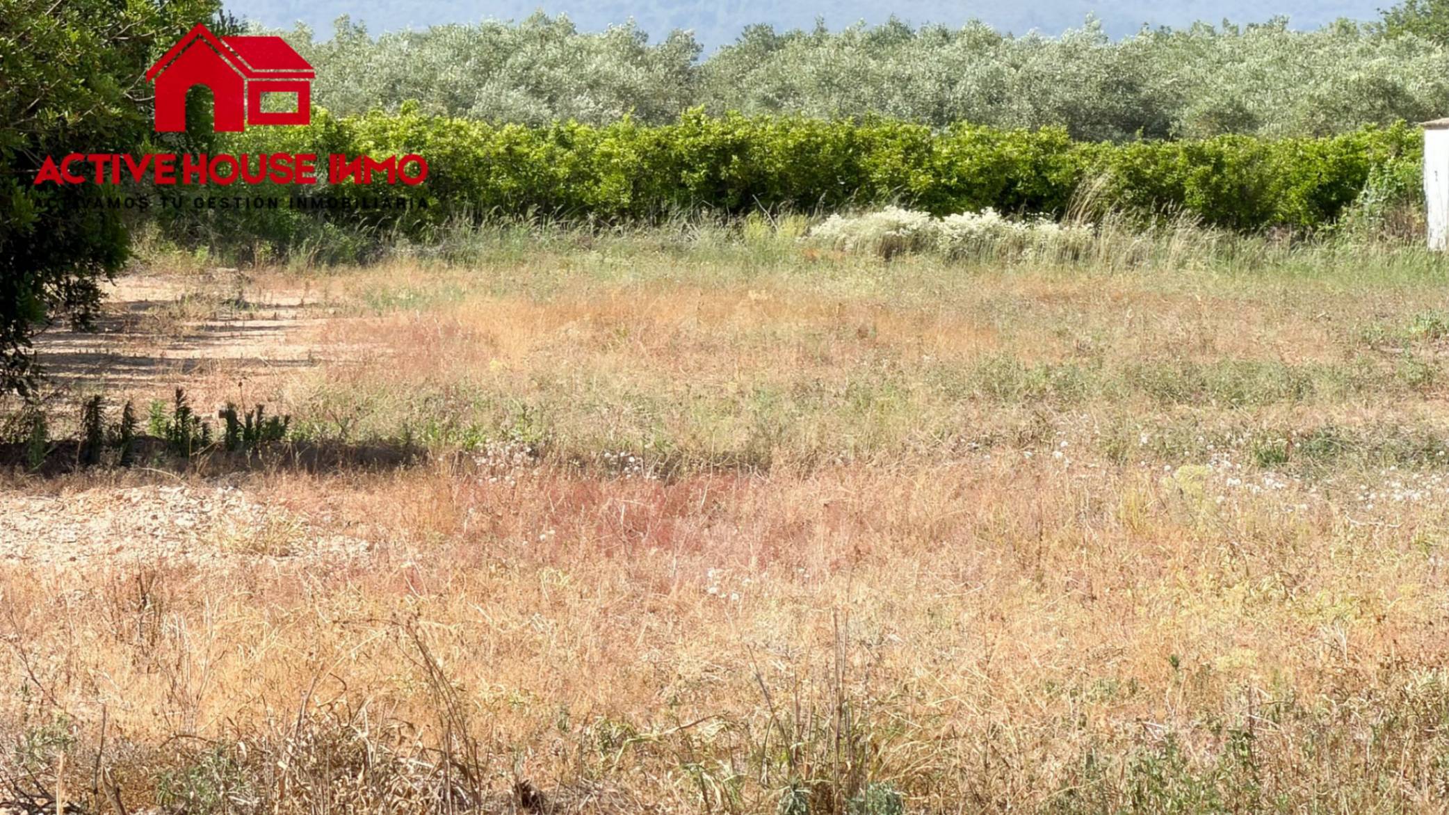 Finca con agua en Santa Bàrbara - Foto 6