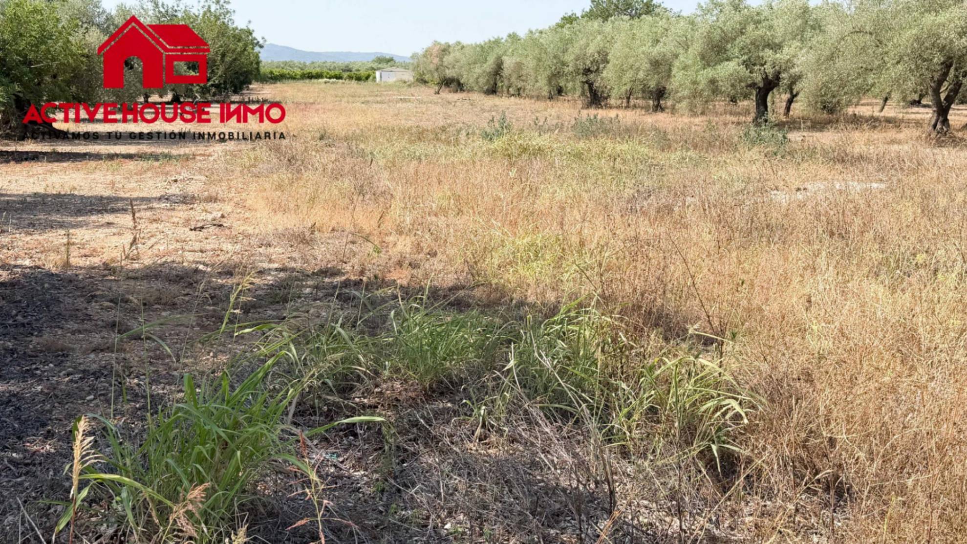 Finca con agua en Santa Bàrbara - Foto 7