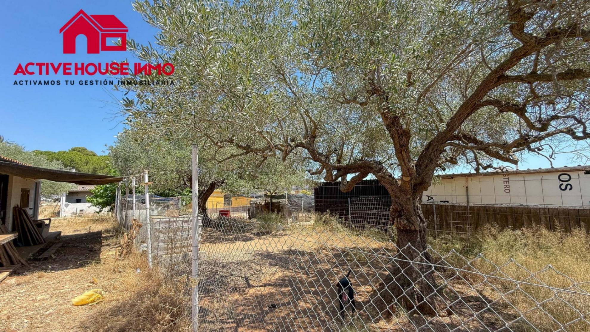 Finca rústica con casa urbana en Bahia Mar, Alcanar playa - Foto 12