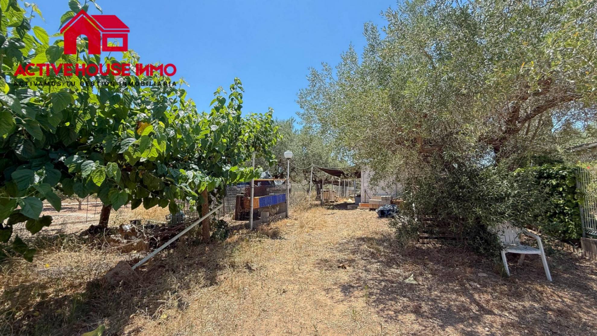 Finca rústica con casa urbana en Bahia Mar, Alcanar playa - Foto 11