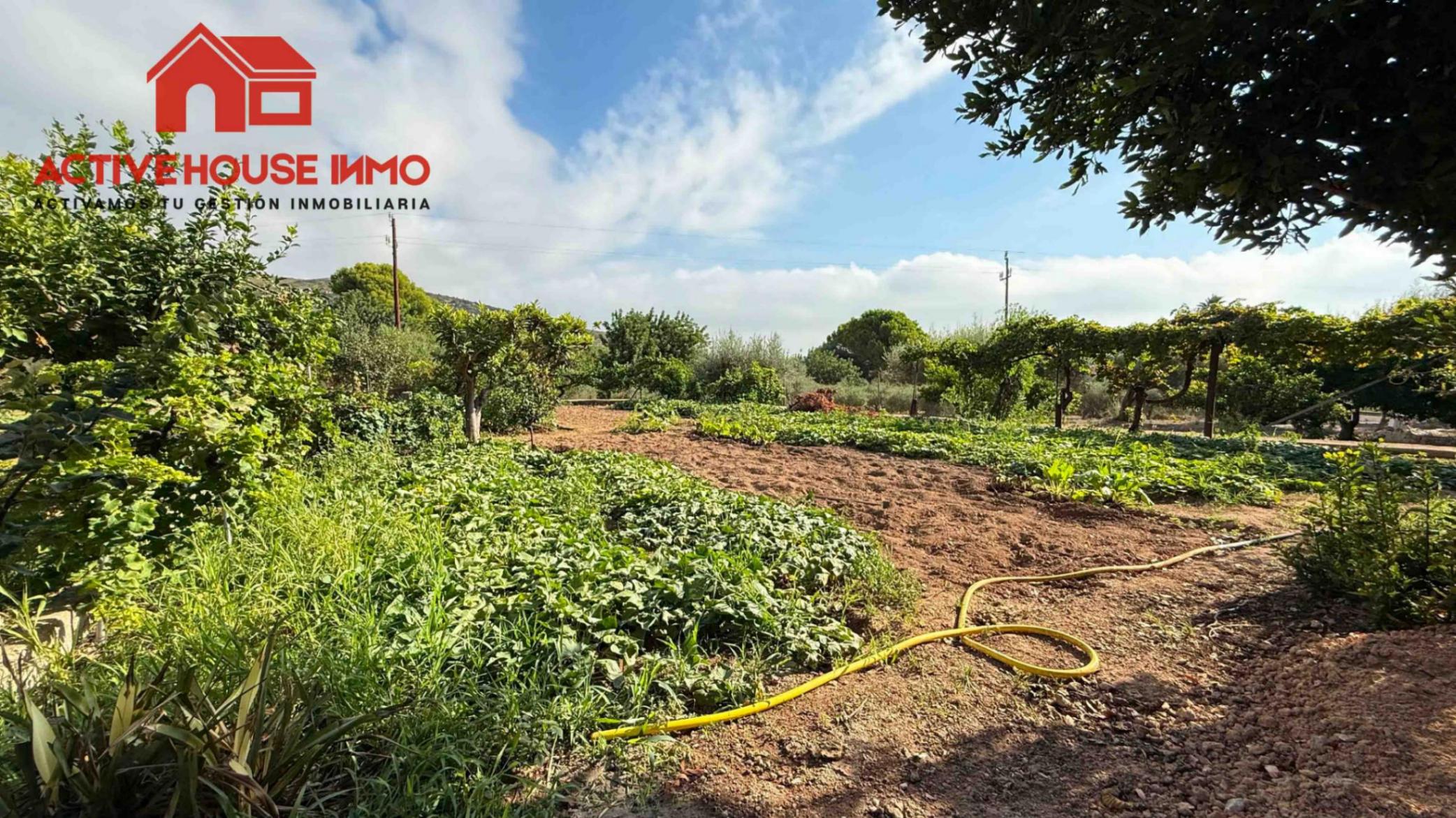 Casa rústica con terreno y piscina en Alcanar - Foto 50