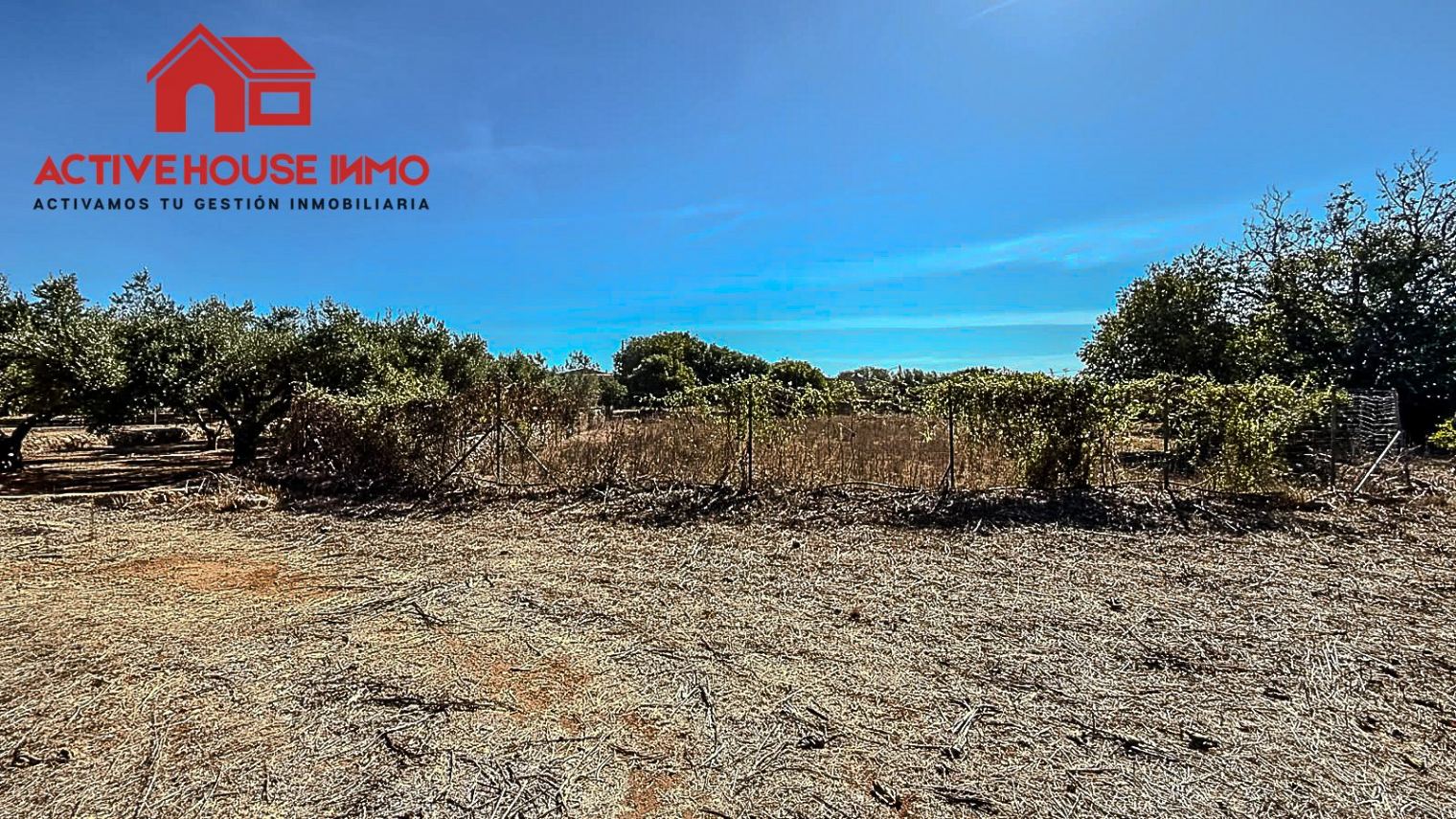 Finca rústica con pequeña caseta y agua en Masdenverge - Foto 11