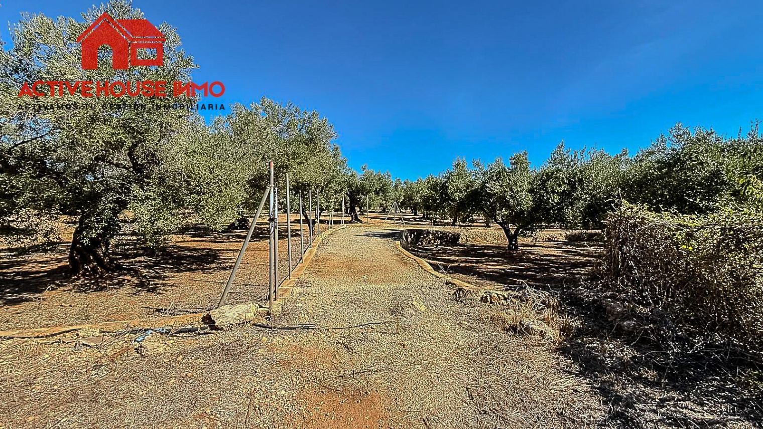 Finca rústica con pequeña caseta y agua en Masdenverge - Foto 12