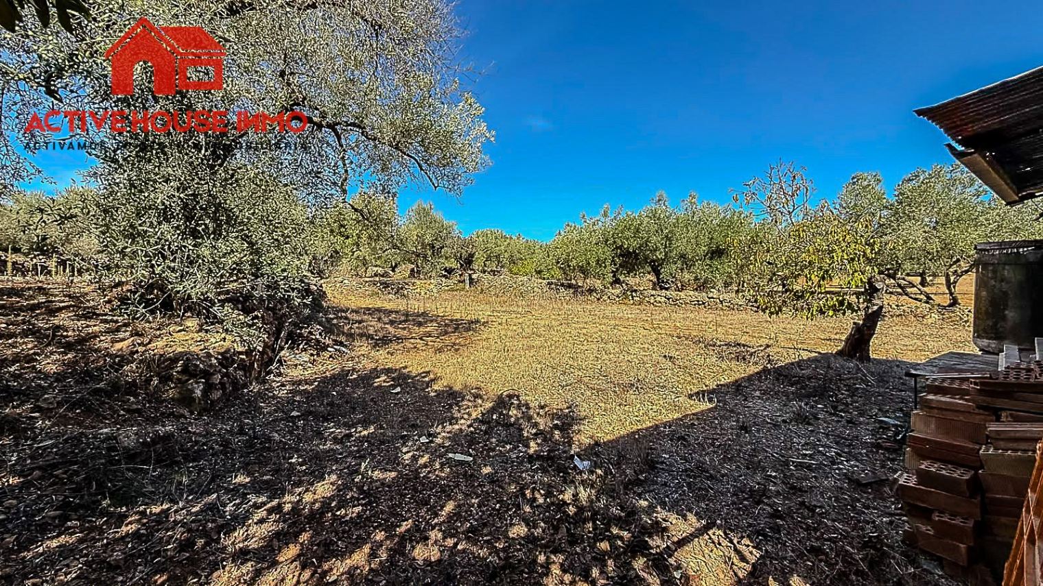 Finca rústica con pequeña caseta y agua en Masdenverge - Foto 13
