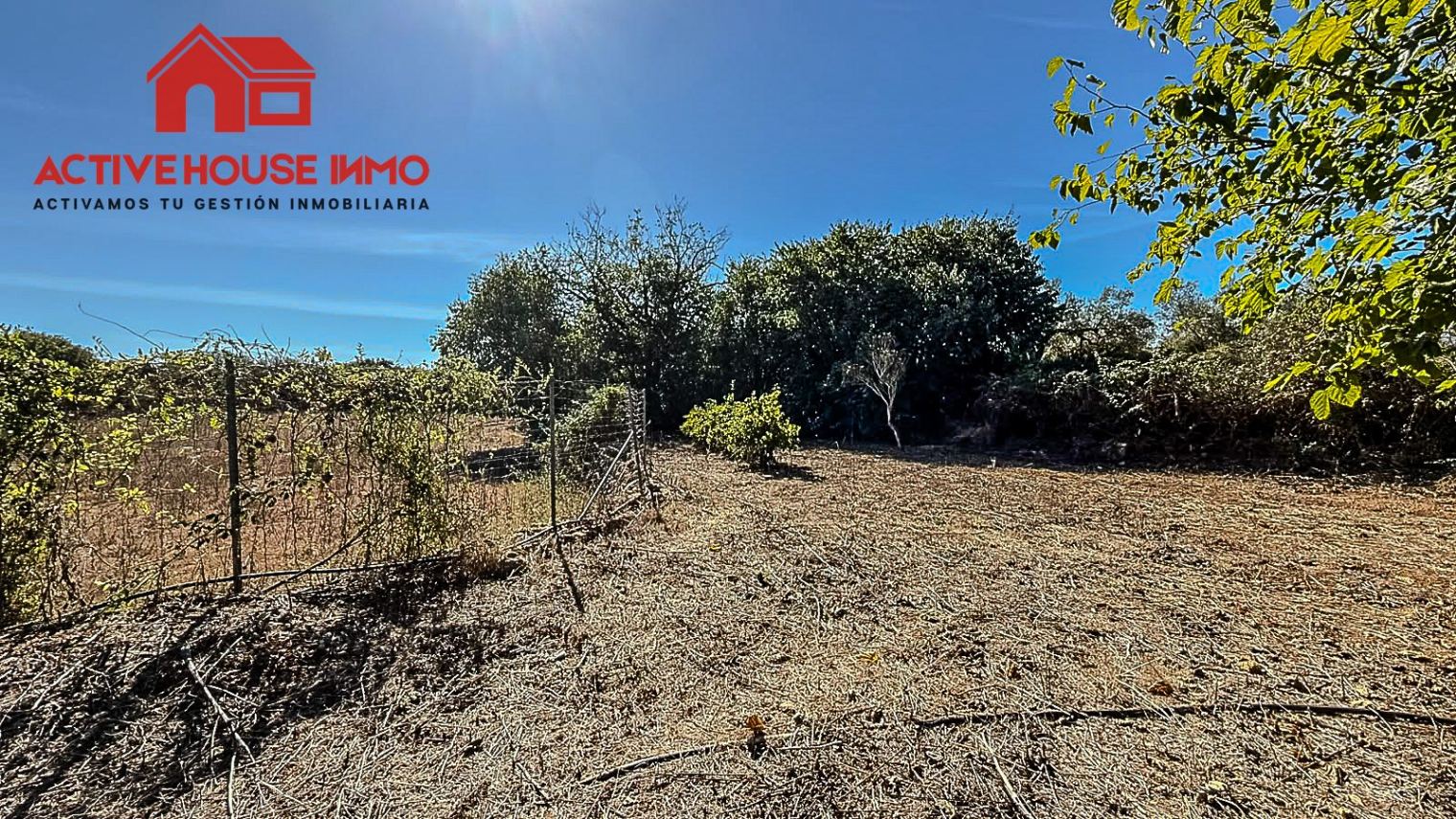 Finca rústica con pequeña caseta y agua en Masdenverge - Foto 15