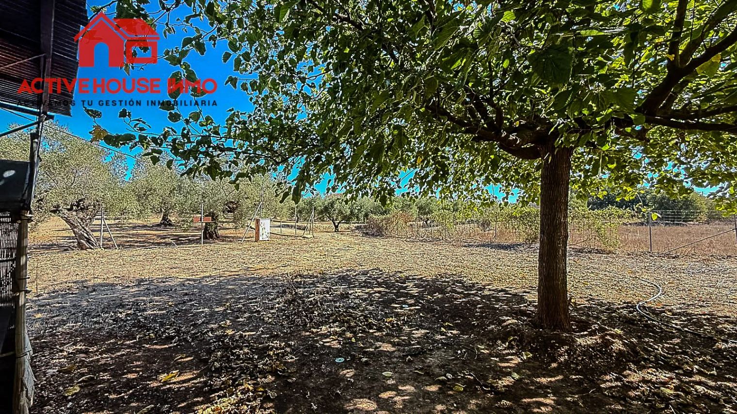 Finca rústica con pequeña caseta y agua en Masdenverge - Foto 8