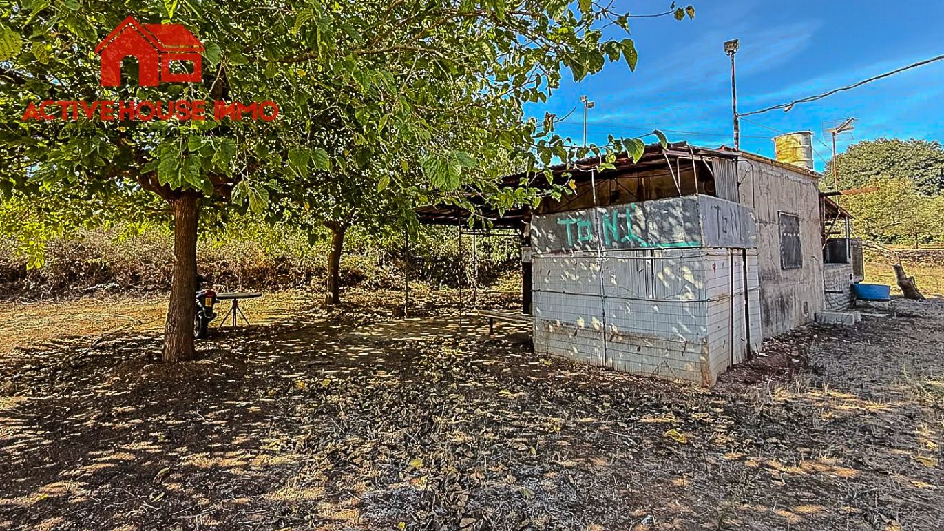 Finca rústica con pequeña caseta y agua en Masdenverge - Foto 2