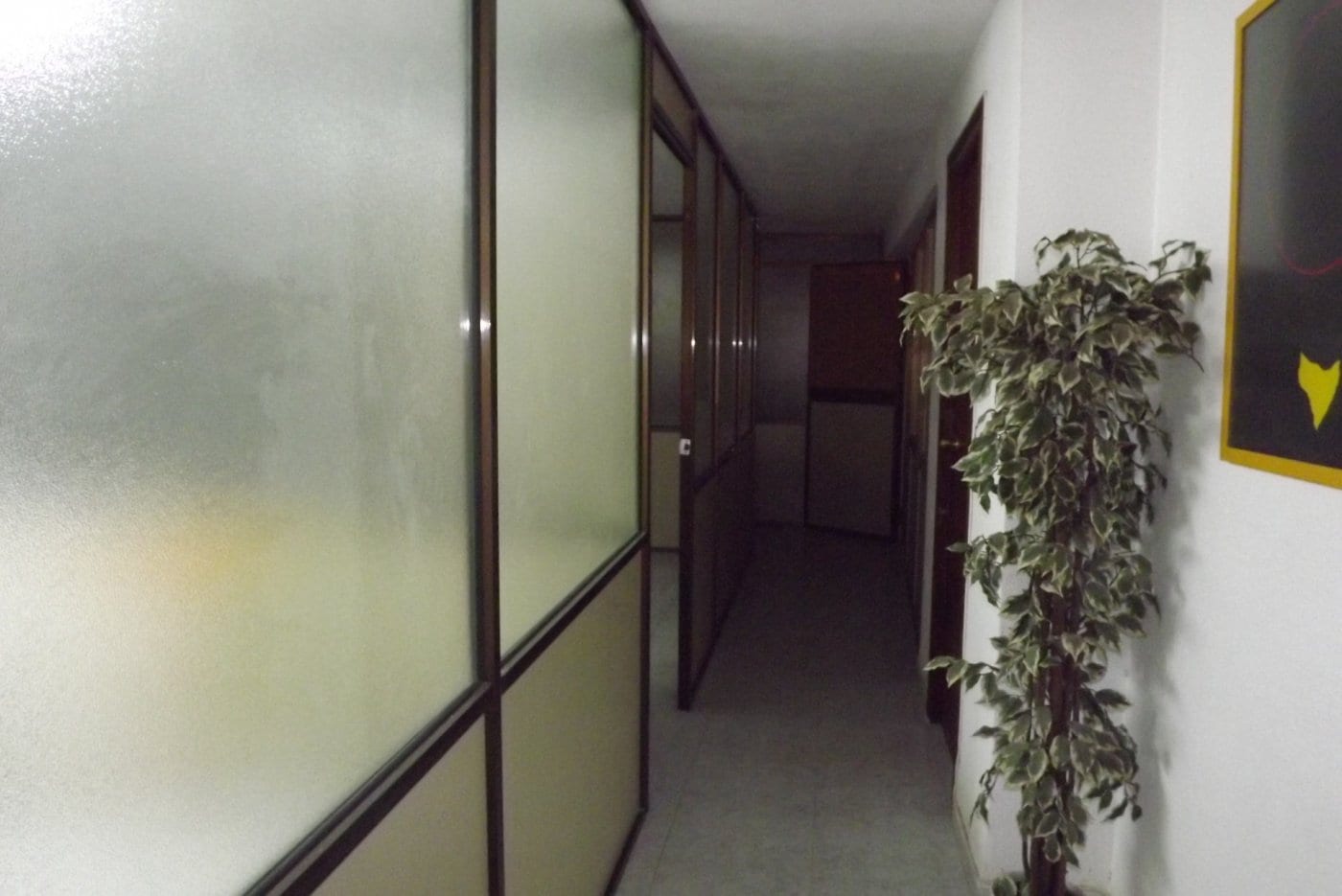 Commercial Vila-Real (8)