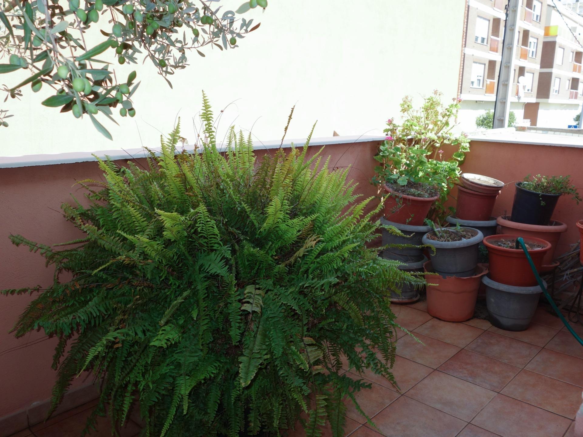 Terraced House Almazora - Almassora (31)