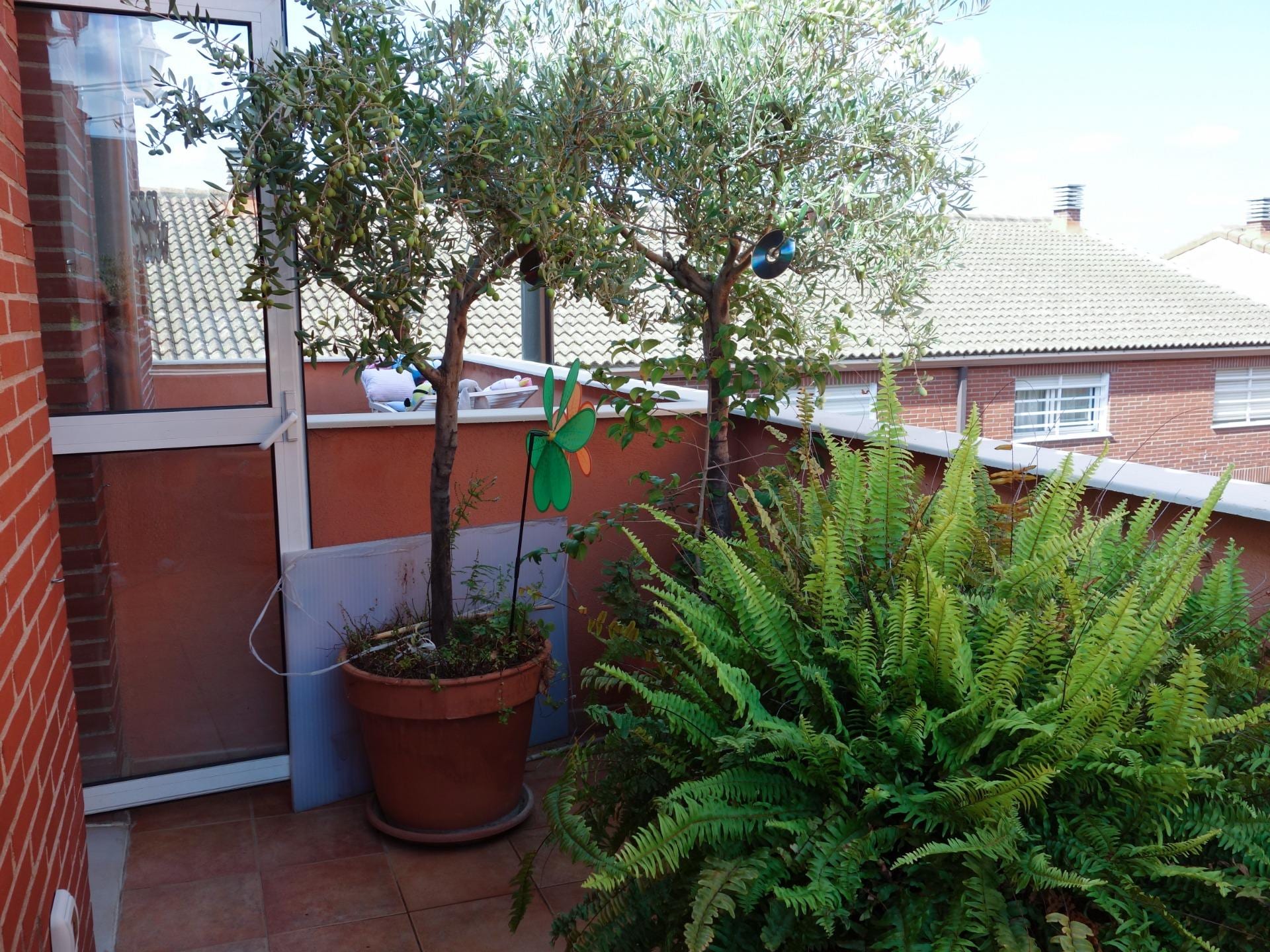 Terraced House Almazora - Almassora (33)
