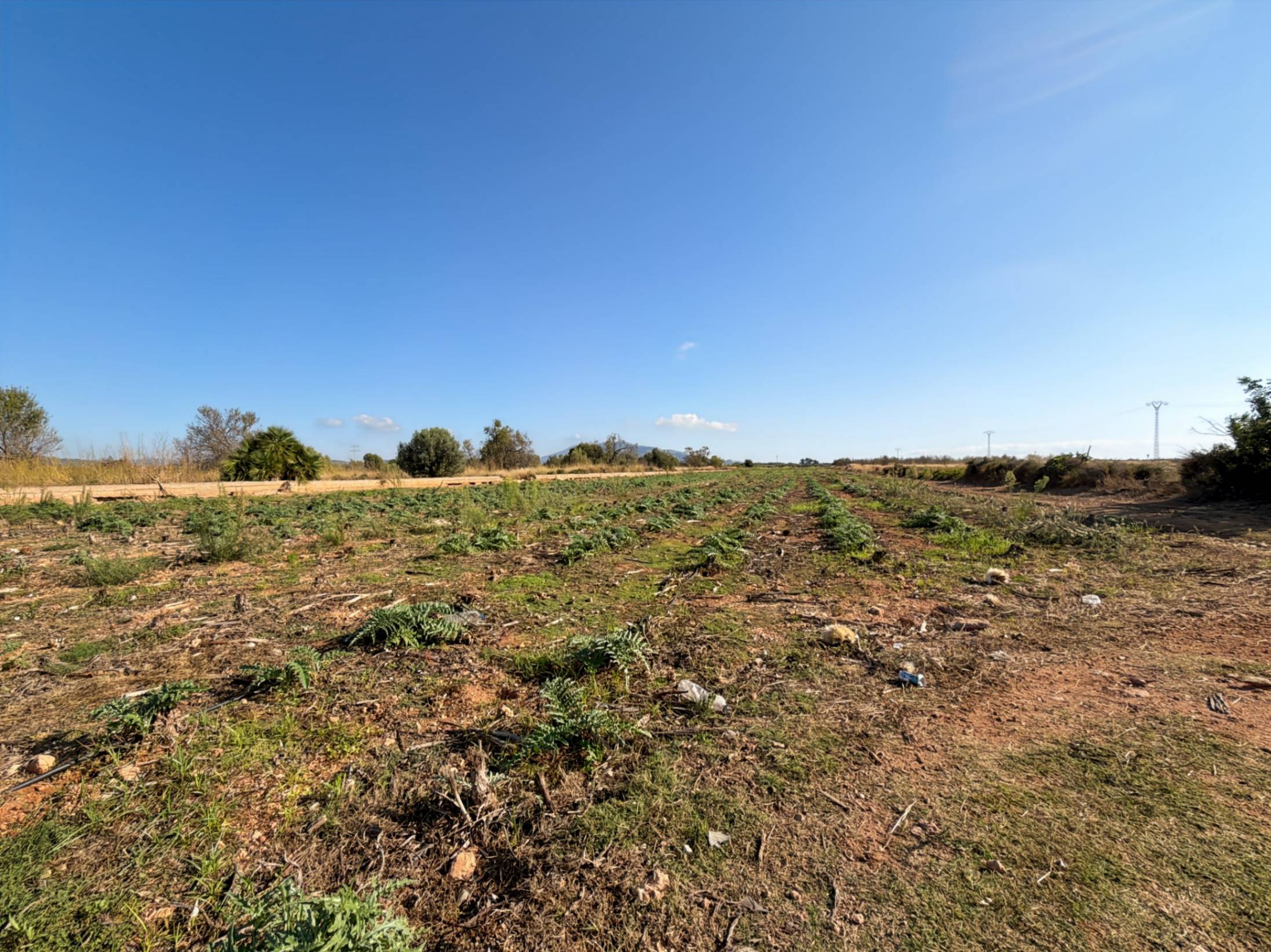 Land Torreblanca (9)