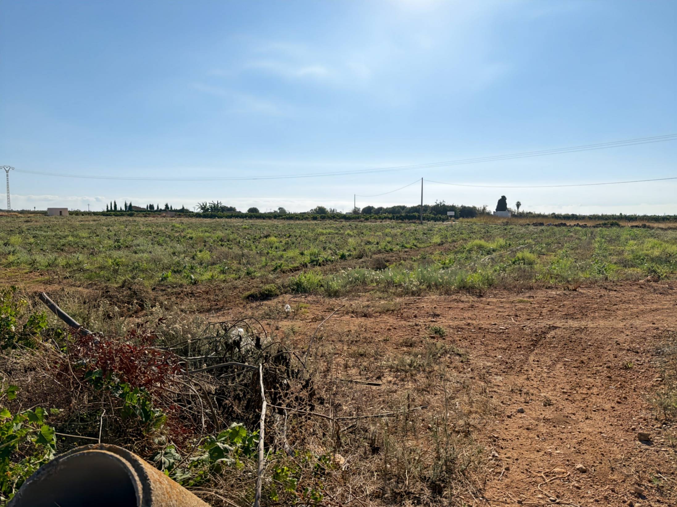 Land Torreblanca (11)