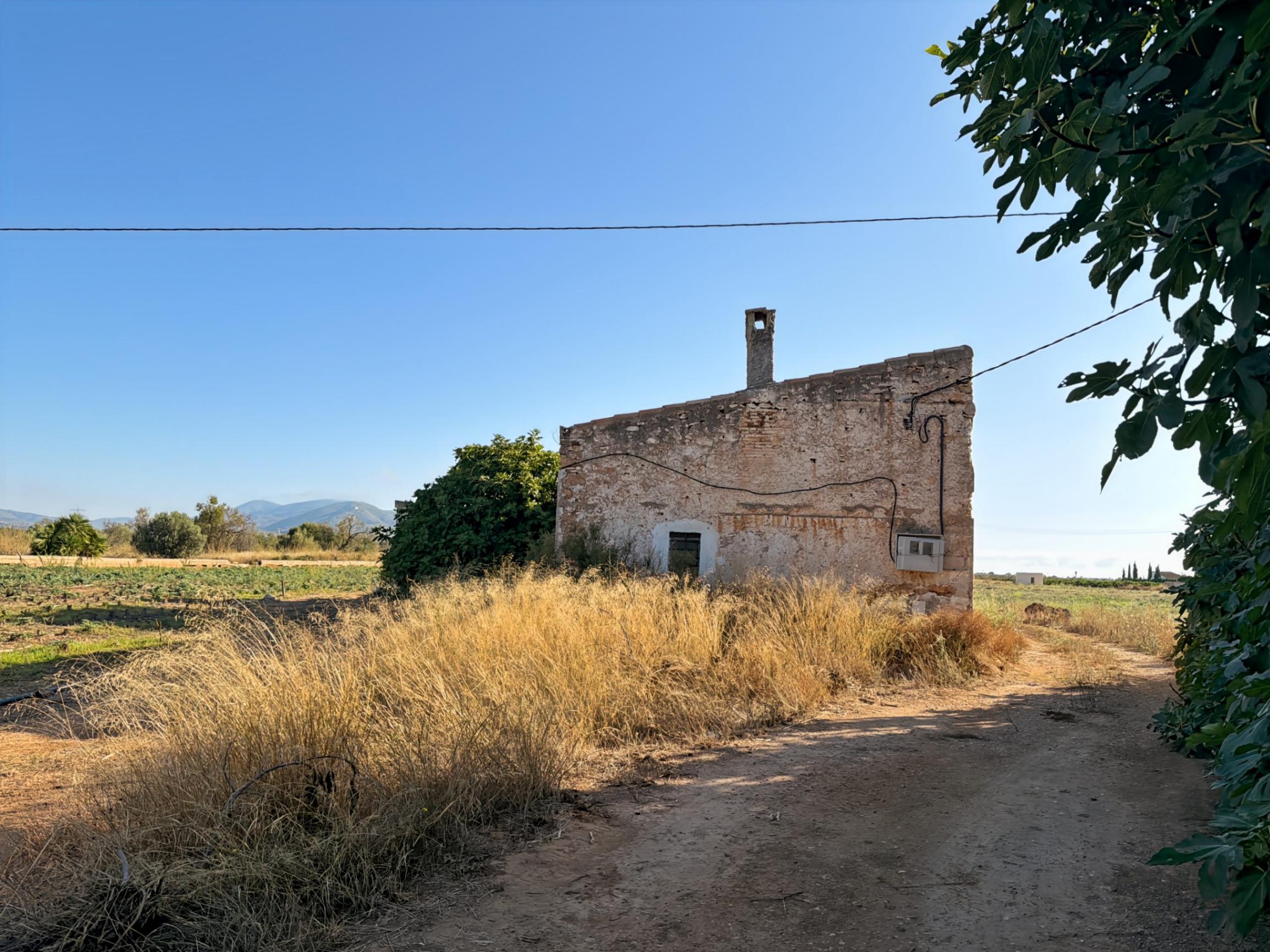Land Torreblanca (3)